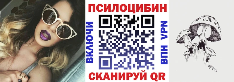 Псилоцибиновые грибы Psilocybe  Ульяновск 