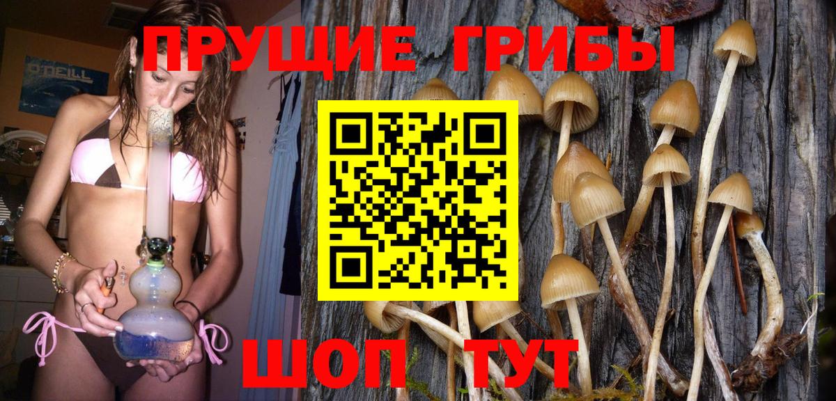 Ульяновск  Псилоцибиновые грибы прущие грибы  Вход с VPN 
